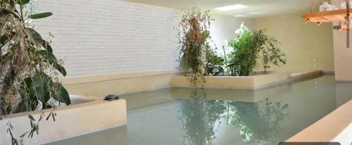 Oulad Hassoune Bed & Breakfast | Sweethome