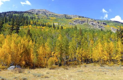 Idaho Springs House | Switchback Big Divide home
