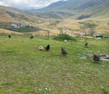 Kukes County Hotel | Sylbica Guesthouse