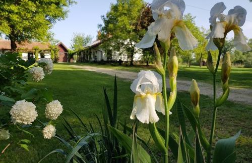 Pusztaszer House | Szérűskert Vendégház Pusztaszer
