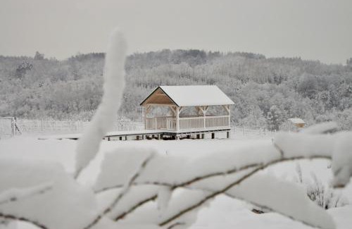 Frysztak Apartment | Sztukówka Winery