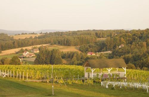 Frysztak Apartment | Sztukówka Winery