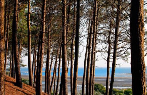 Arcachon Apartment | T2 cabine 35m2 au port d'Arcachon avec balcon et parking sécurisé - FR-1-420-28