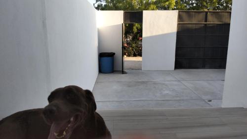 Colina del Sol House | Tacho's House privacy comfort 5 luxury