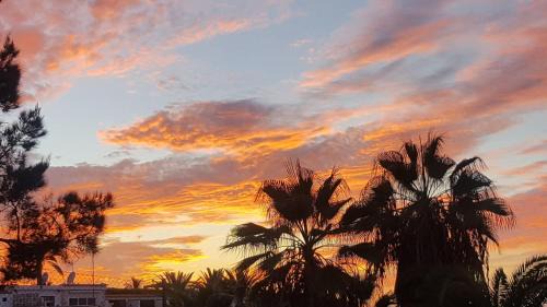 Los Gigantes Apartment | Tamara