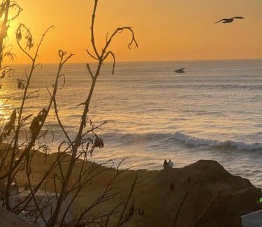 Tamri Hotel | Tamri Beach Cabane