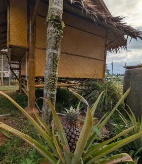 Khlong Sok House | Tarzan Bamboo hut
