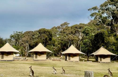 Tathra Other | Tathra Beach Eco Camp