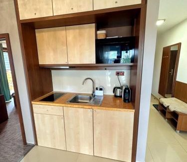 Velka Lomnica Apartment | Tatragolf Apartment K202