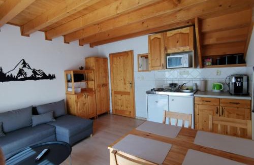 Liptovsky Mikulas Apartment | Tatralandia Apartmán 341