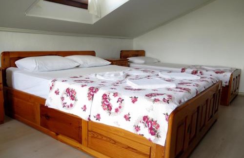 Dalyan City Center Apartment | Tavilogullari Villa Apart