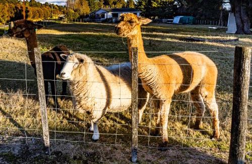 Erua House | Taylor Lodge Adventure Base - Erua Holiday Home