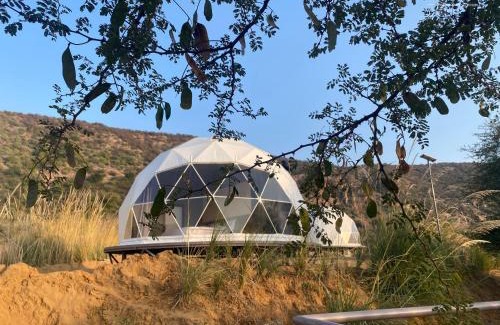 Achrol Other | Teela- The Glamping Resort, Jaipur