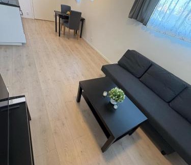 Bryn Apartment | Temis apartment, private new 1 bed room and 1 living room with sofa bed and lagre kitchen, share with nobody