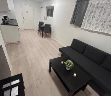Bryn Apartment | Temis apartment, private new 1 bed room and 1 living room with sofa bed and lagre kitchen, share with nobody