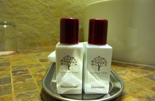 Pokhara Hotel | Temple Tree Resort and Spa, Pokhara