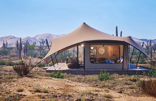 Marana Resort | Tent Cholla