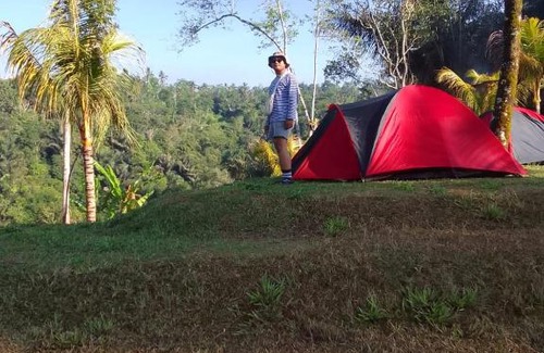 Taro Other | Tent gastronomy