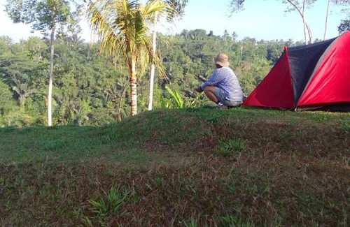 Taro Other | Tent gastronomy