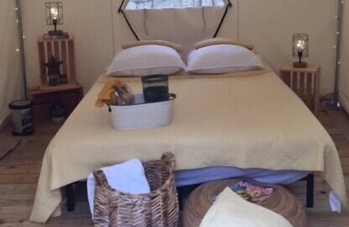 Smithville Flats RV Rental | Tentrr Signature Site - Pine Spirit