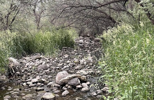 Orchard City RV Rental | Tentrr Signature Site - Next Time Around Campsite