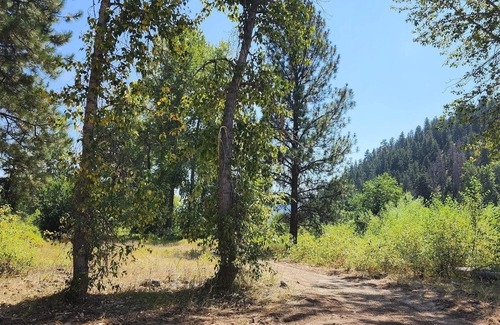 Clinton RV Rental | Tentrr Signature Site - B4mc River Ranch - The Cottonwoods