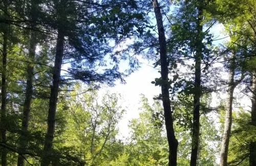 Alton RV Rental | Tentrr Signature Site - Camp Alton