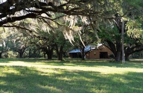 Citra RV Rental | Tentrr Signature Site - Enchanted Oaks Ranch
