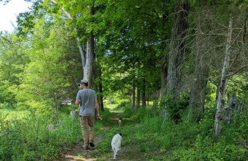 Walden Other | Tentrr Signature Site - Pastoral Paradise on 42-Acre Farm Close to NYC