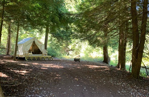 Accident RV Rental | Tentrr Signature Site - Trout Meadow