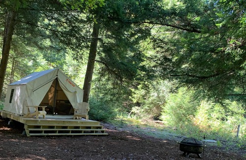 Accident RV Rental | Tentrr Signature Site - Trout Meadow