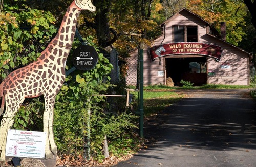 Catskill RV Rental | Tentrr Signature Site - The Old Catskill Game Farm Abandoned Zoo: Fido's Viney