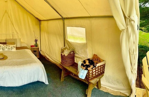 Red Hook RV Rental | Tentrr Signature Site - Frisky Sward Lower Meadow 1