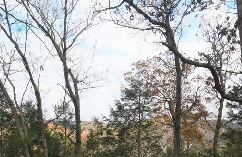 Little Orleans RV Rental | Tentrr Signature Site - Fifteen Mile Creek