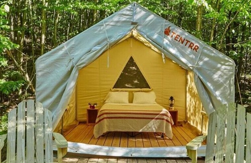 Talisheek RV Rental | Tentrr State Park Site - Louisiana Bogue Chitto State Park - Riverview F - Singl