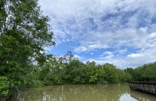 Springfield RV Rental | Tentrr State Park Site - Louisiana Tickfaw State Park - Woodland D - Double Camp