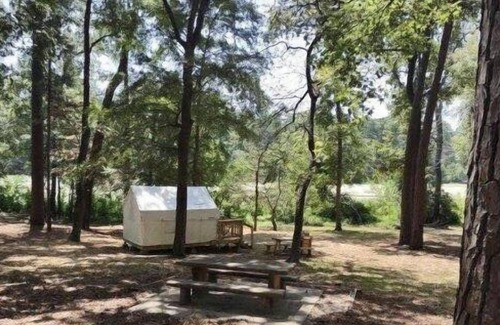 Huntsville RV Rental | Tentrr State Park Site - Texas Huntsville State Park - Site A - Single Camp