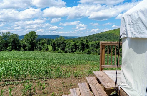 Copake Falls RV Rental | Tentrr State Park Site - NY Taconic State Park: High Valley Rd Site A