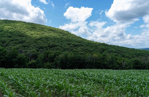 Copake Falls RV Rental | Tentrr State Park Site - NY Taconic State Park: High Valley Rd Site A