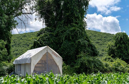 Copake Falls RV Rental | Tentrr State Park Site - NY Taconic State Park: High Valley Rd Site C