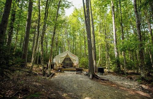 Rangeley Plantation RV Rental | Tentrr State Park Site - Maine Rangeley Lake State Park - North Woods Site - Sin