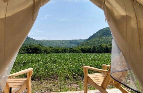 Copake Falls RV Rental | Tentrr State Park Site - NY Taconic State Park: High Valley Rd Site E