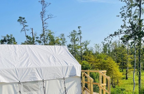 Lake Charles RV Rental | Tentrr State Park Site - Louisiana Sam Houston Jones State Park - Lagoon View E