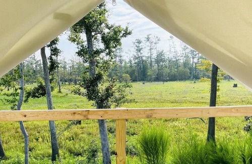 Lake Charles RV Rental | Tentrr State Park Site - Louisiana Sam Houston Jones State Park - Lagoon View E