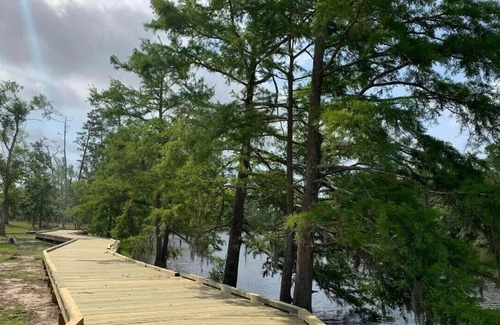 Lake Charles RV Rental | Tentrr State Park Site - Louisiana Sam Houston Jones State Park - Lagoon View G