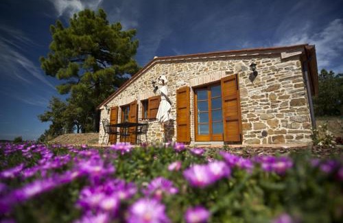 Ferretto Villa | Tenuta Angelici Winery Casa Contea with pool and panoramic pool Cortona