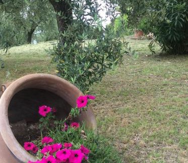 Capannori House | Tenuta Gaetano Spadaro