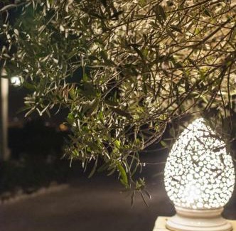 Noto House | Tenuta Olive Alive