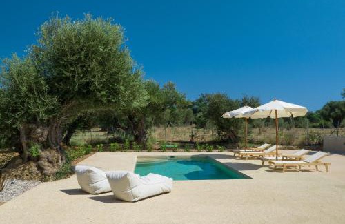 Vasilikos House | Terra Oleana Cottages