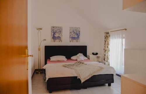 Wahring Apartment | Terrace Apartment near Volksoper and City Centre